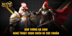 HLX79 – Đá Gà Trực Tiếp HD, Xem Đá Gà Thomo Hôm Nay