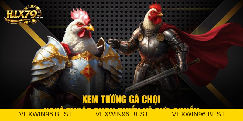 Xem Tướng Gà Chọi – Nghệ Thuật Chọn Chiến Kê Cực Chuẩn